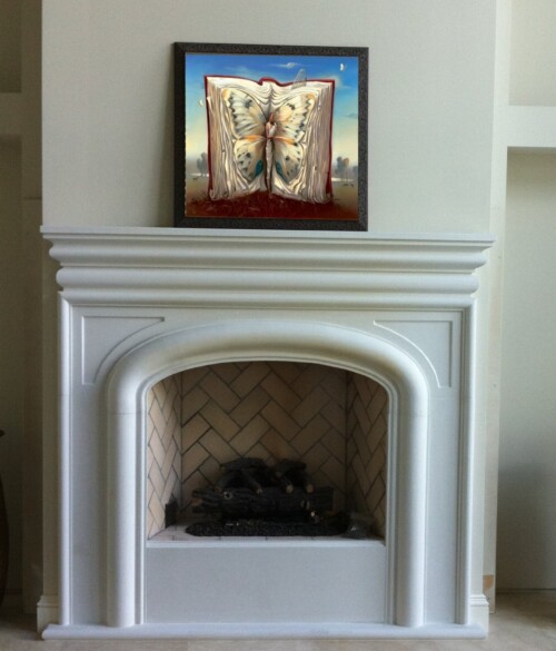 contemporary elegant fireplace